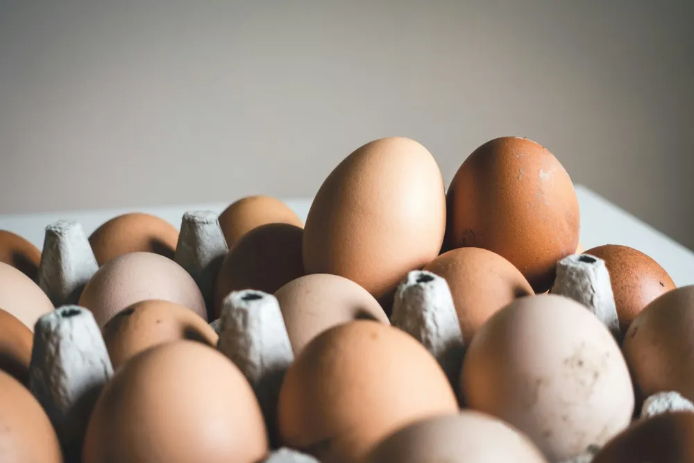 Płaska kompozycja produktów potencjalnie alergizujących: jajka, ziarna soi, kłosy pszenicy, orzeszki ziemne, orzechy i kawałek ryby — żywność, której nie trzeba opóźniać w diecie niemowlaka